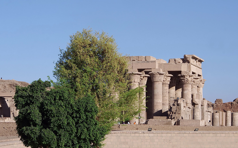 7 Nights / 8 Days Classic Nile Cruise